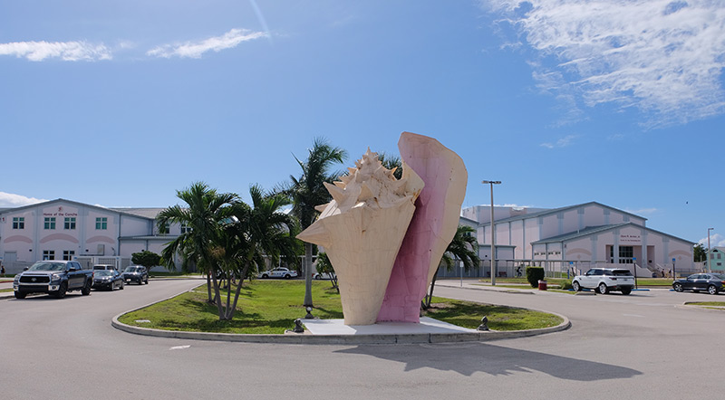 large shell sculpture in front of building and blue skies