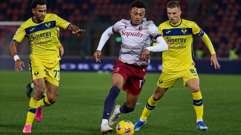 Nhận định bóng đá Bologna vs Hellas Verona trận 07h00 ngày 08/03